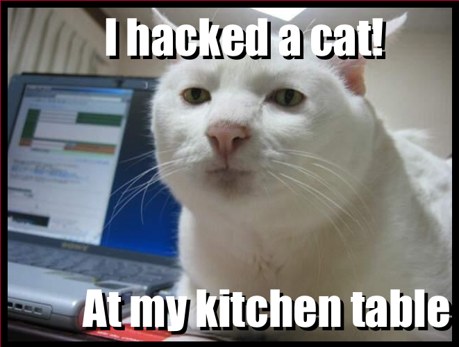 File:Hackedcat.png