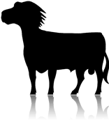 Logo of NAVE es-ES Team
