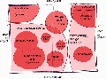 Thumbnail for version as of 23:16, 25 June 2014