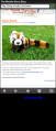 Thumbnail for version as of 23:10, 23 March 2008