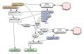 Thumbnail for version as of 00:16, 1 August 2013