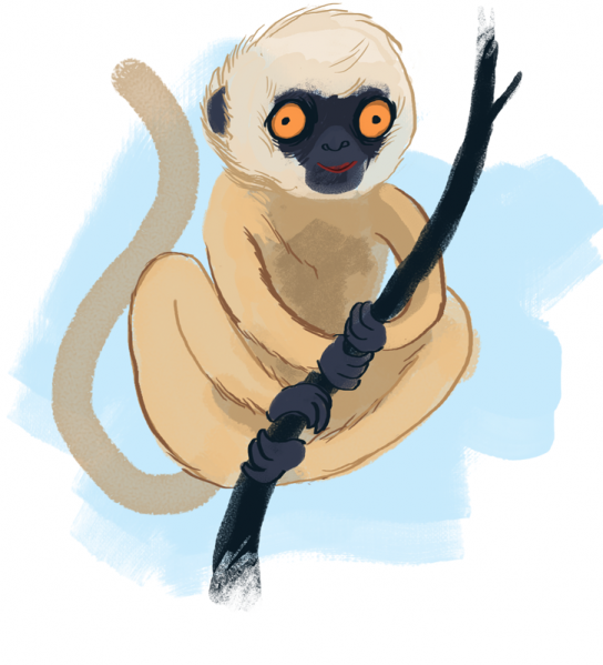 File:Lemur 726x800.png