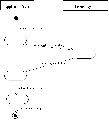 Thumbnail for version as of 17:16, 16 January 2007