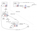 Thumbnail for version as of 23:03, 26 February 2013