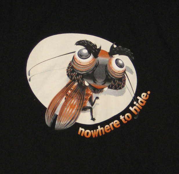 File:2004 security bug.jpg