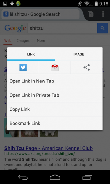 File:Share link2.png
